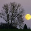 【天体観測】皆既月食画像投稿！…議長が走り抜けた秋の夜。
